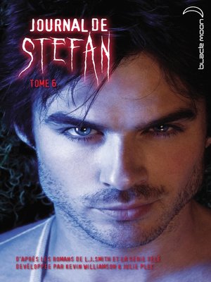 cover image of Journal de Stefan 6